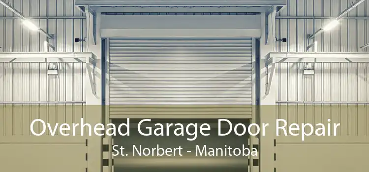 Overhead Garage Door Repair St. Norbert - Manitoba