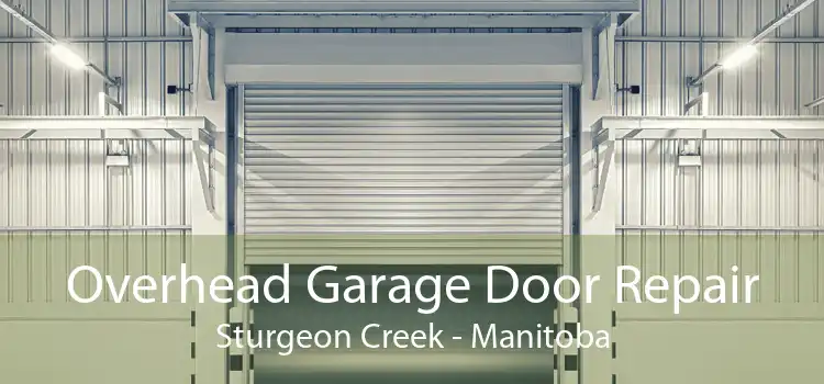 Overhead Garage Door Repair Sturgeon Creek - Manitoba