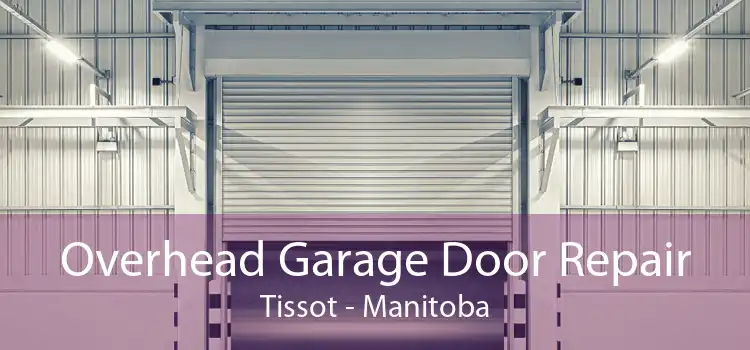 Overhead Garage Door Repair Tissot - Manitoba