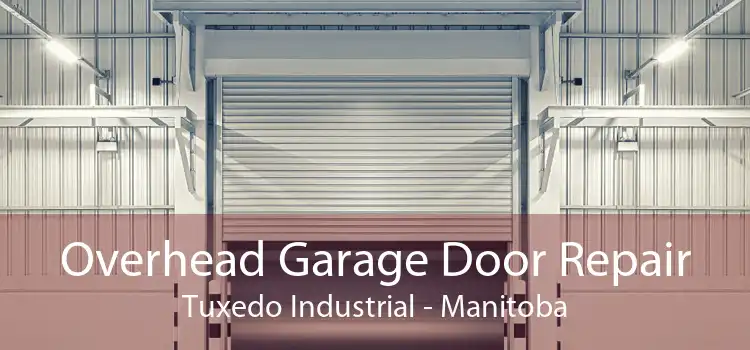 Overhead Garage Door Repair Tuxedo Industrial - Manitoba
