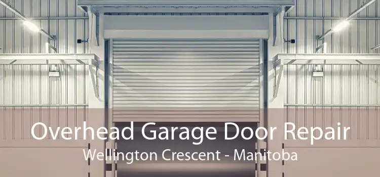 Overhead Garage Door Repair Wellington Crescent - Manitoba