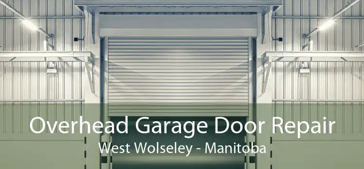 Overhead Garage Door Repair West Wolseley - Manitoba