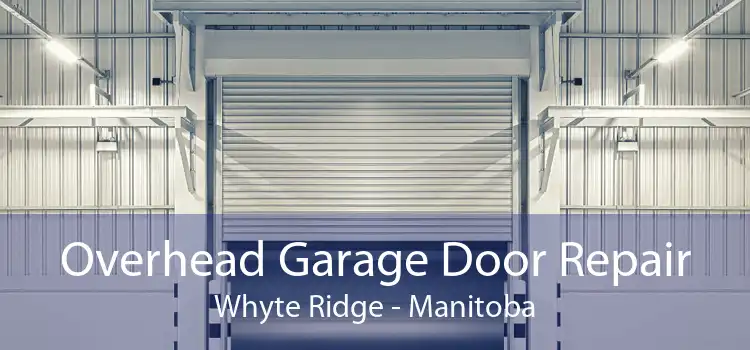 Overhead Garage Door Repair Whyte Ridge - Manitoba