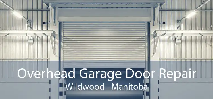 Overhead Garage Door Repair Wildwood - Manitoba