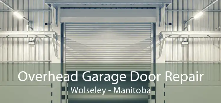Overhead Garage Door Repair Wolseley - Manitoba