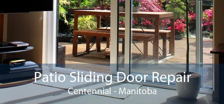 Patio Sliding Door Repair Centennial - Manitoba