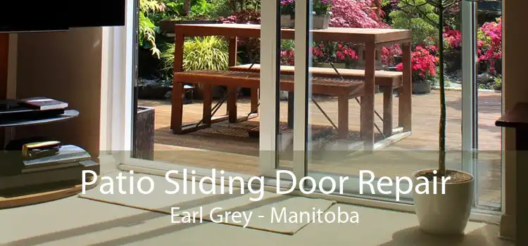 Patio Sliding Door Repair Earl Grey - Manitoba