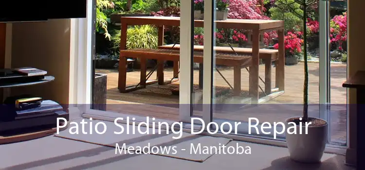 Patio Sliding Door Repair Meadows - Manitoba