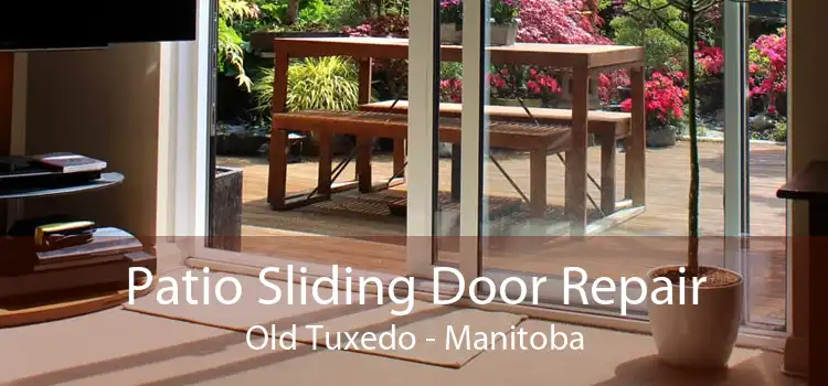 Patio Sliding Door Repair Old Tuxedo - Manitoba
