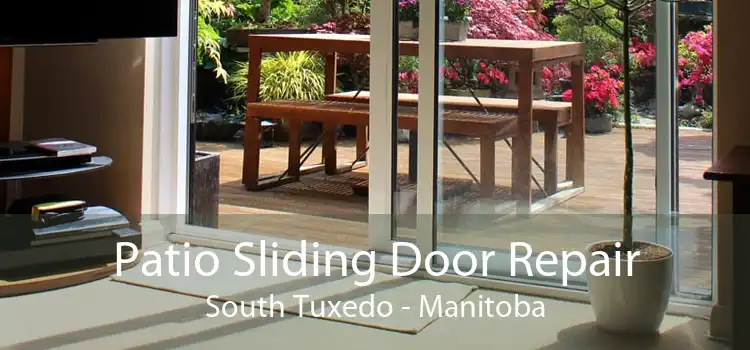 Patio Sliding Door Repair South Tuxedo - Manitoba