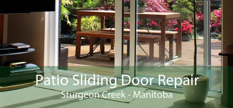 Patio Sliding Door Repair Sturgeon Creek - Manitoba
