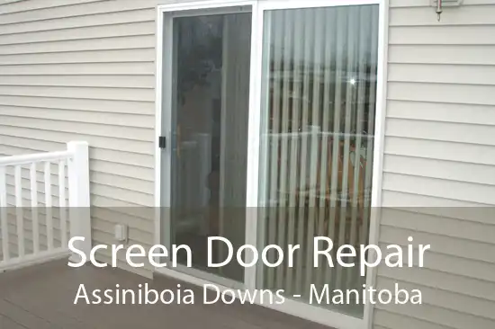 Screen Door Repair Assiniboia Downs - Manitoba
