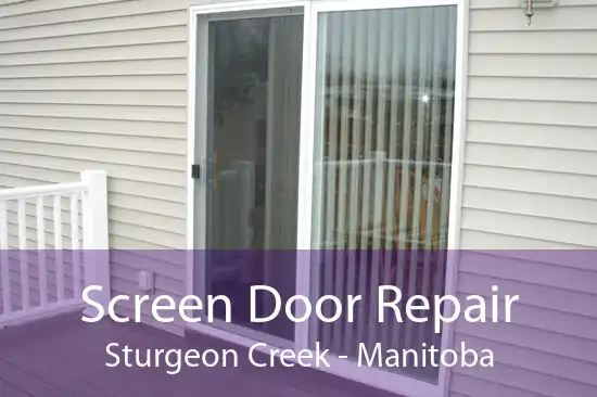 Screen Door Repair Sturgeon Creek - Manitoba