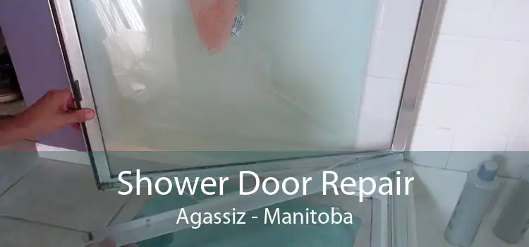 Shower Door Repair Agassiz - Manitoba