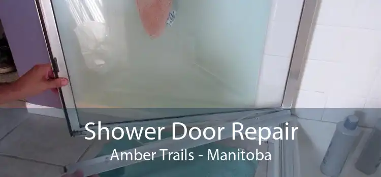 Shower Door Repair Amber Trails - Manitoba