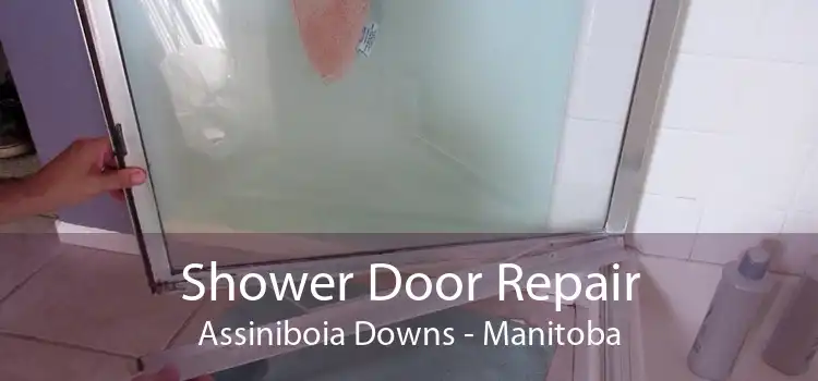Shower Door Repair Assiniboia Downs - Manitoba