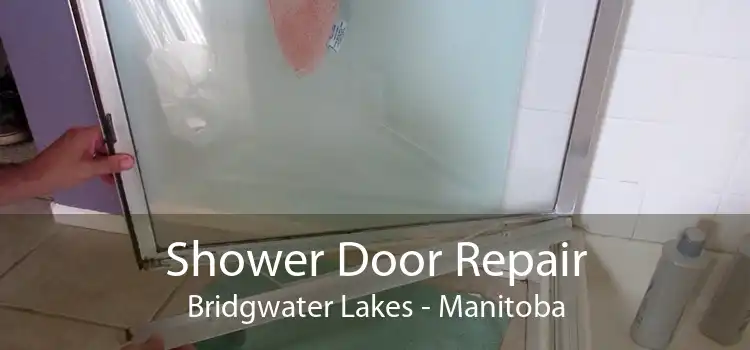 Shower Door Repair Bridgwater Lakes - Manitoba