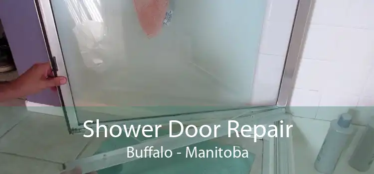 Shower Door Repair Buffalo - Manitoba