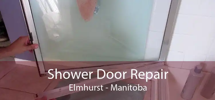 Shower Door Repair Elmhurst - Manitoba