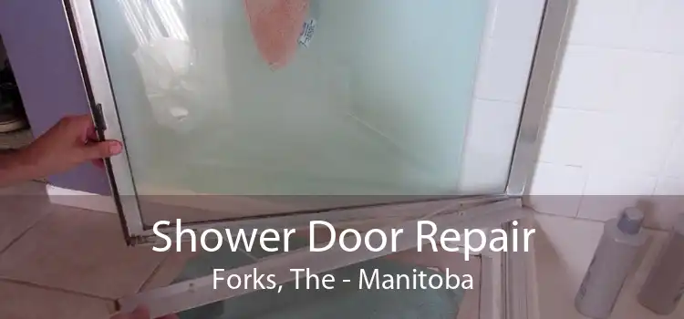 Shower Door Repair Forks, The - Manitoba