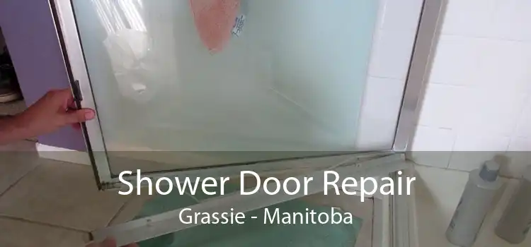 Shower Door Repair Grassie - Manitoba