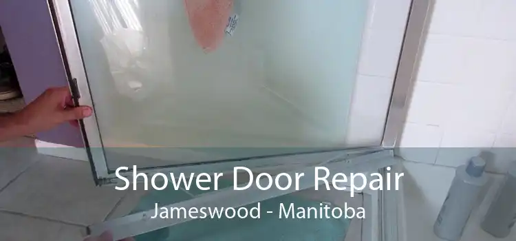 Shower Door Repair Jameswood - Manitoba