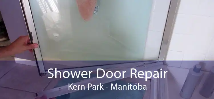 Shower Door Repair Kern Park - Manitoba