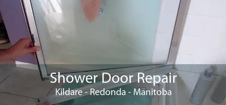 Shower Door Repair Kildare - Redonda - Manitoba