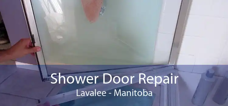 Shower Door Repair Lavalee - Manitoba