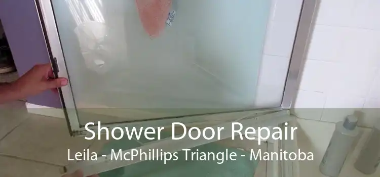 Shower Door Repair Leila - McPhillips Triangle - Manitoba