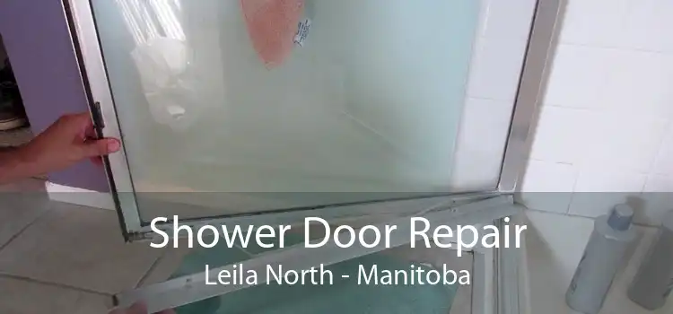 Shower Door Repair Leila North - Manitoba