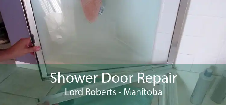 Shower Door Repair Lord Roberts - Manitoba