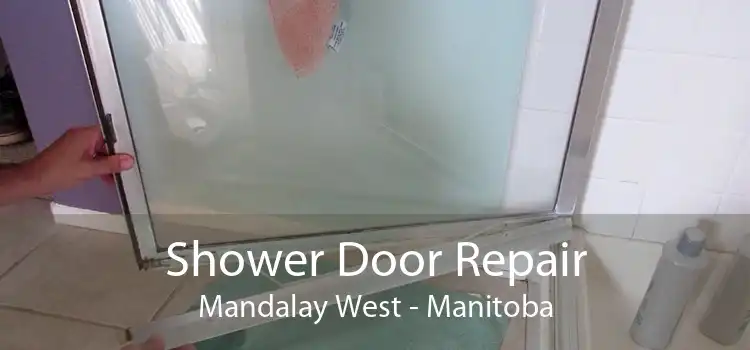 Shower Door Repair Mandalay West - Manitoba