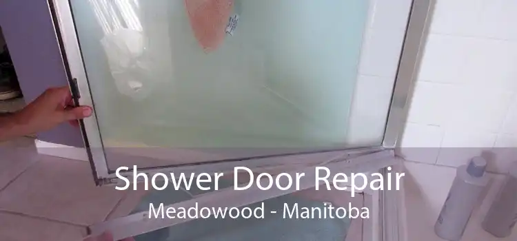 Shower Door Repair Meadowood - Manitoba