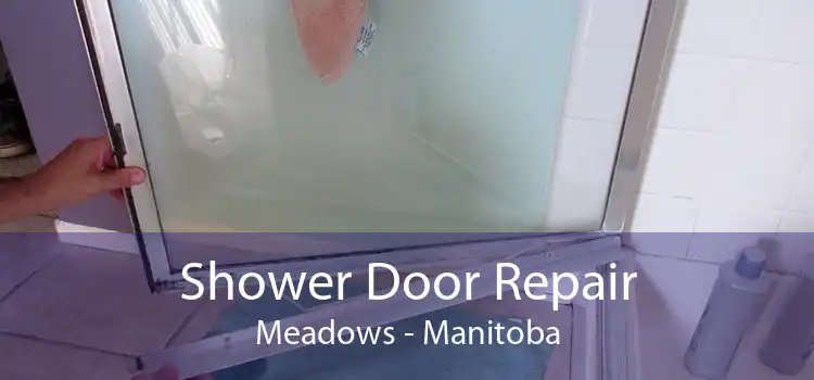 Shower Door Repair Meadows - Manitoba