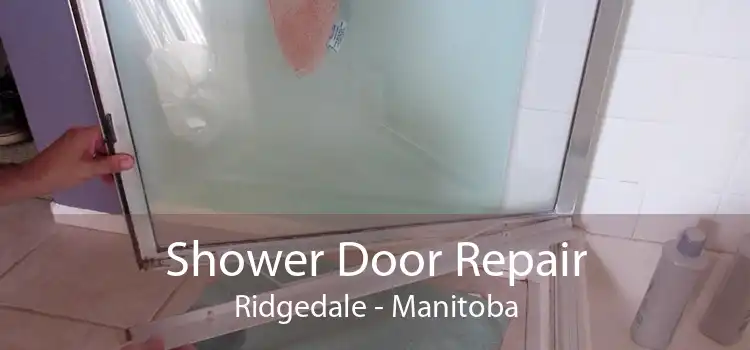 Shower Door Repair Ridgedale - Manitoba