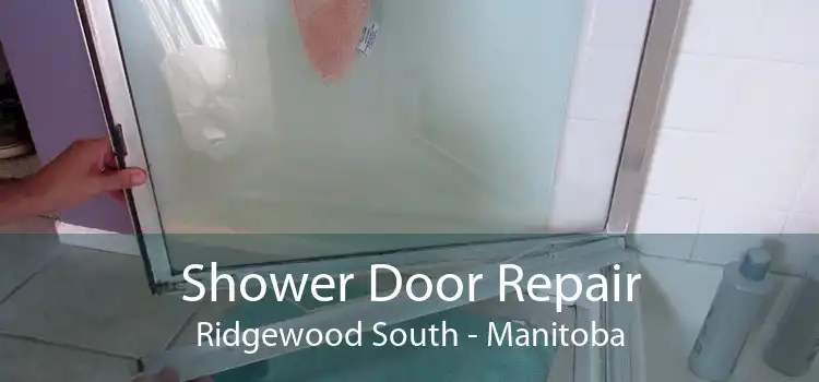 Shower Door Repair Ridgewood South - Manitoba
