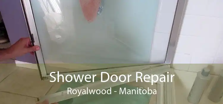 Shower Door Repair Royalwood - Manitoba