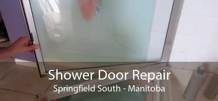Shower Door Repair Springfield South - Manitoba