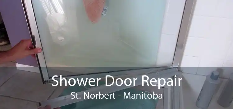 Shower Door Repair St. Norbert - Manitoba