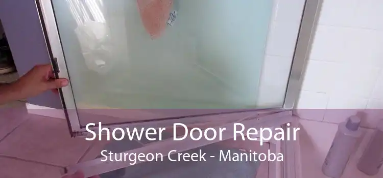 Shower Door Repair Sturgeon Creek - Manitoba