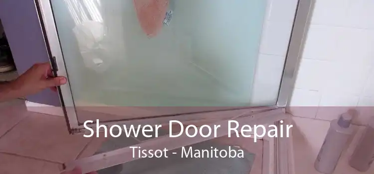 Shower Door Repair Tissot - Manitoba