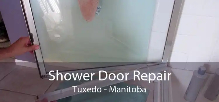 Shower Door Repair Tuxedo - Manitoba