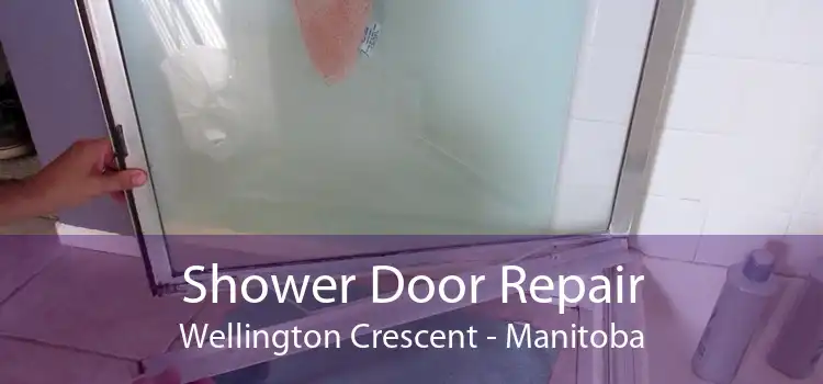 Shower Door Repair Wellington Crescent - Manitoba