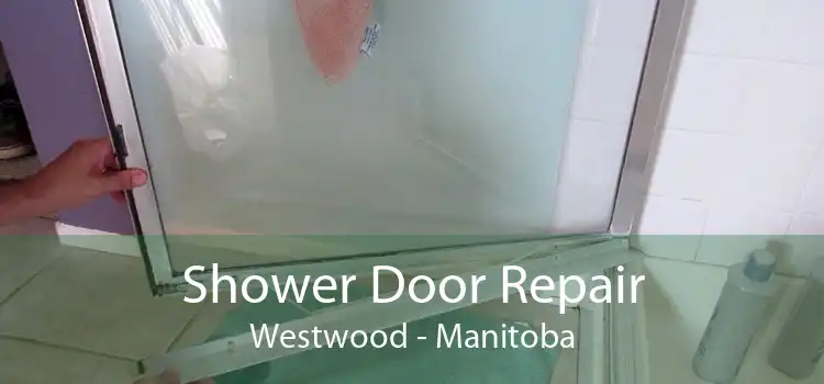 Shower Door Repair Westwood - Manitoba