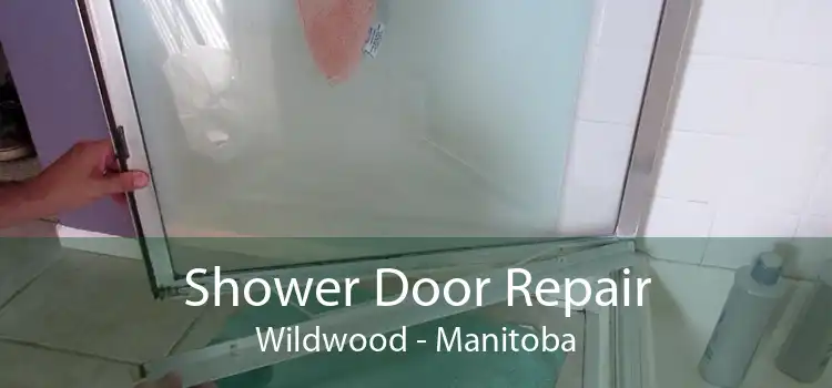 Shower Door Repair Wildwood - Manitoba