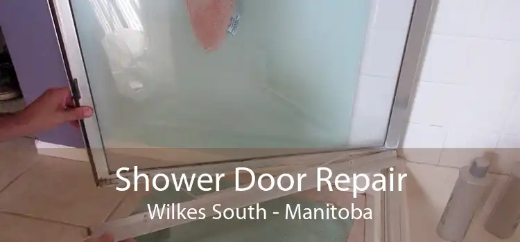 Shower Door Repair Wilkes South - Manitoba