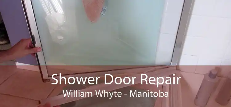 Shower Door Repair William Whyte - Manitoba