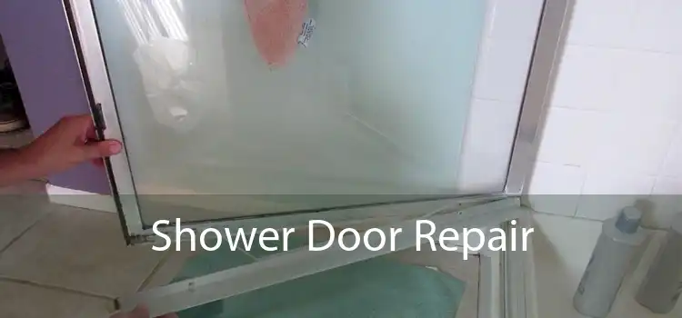 Shower Door Repair
