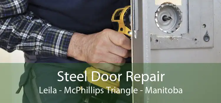 Steel Door Repair Leila - McPhillips Triangle - Manitoba